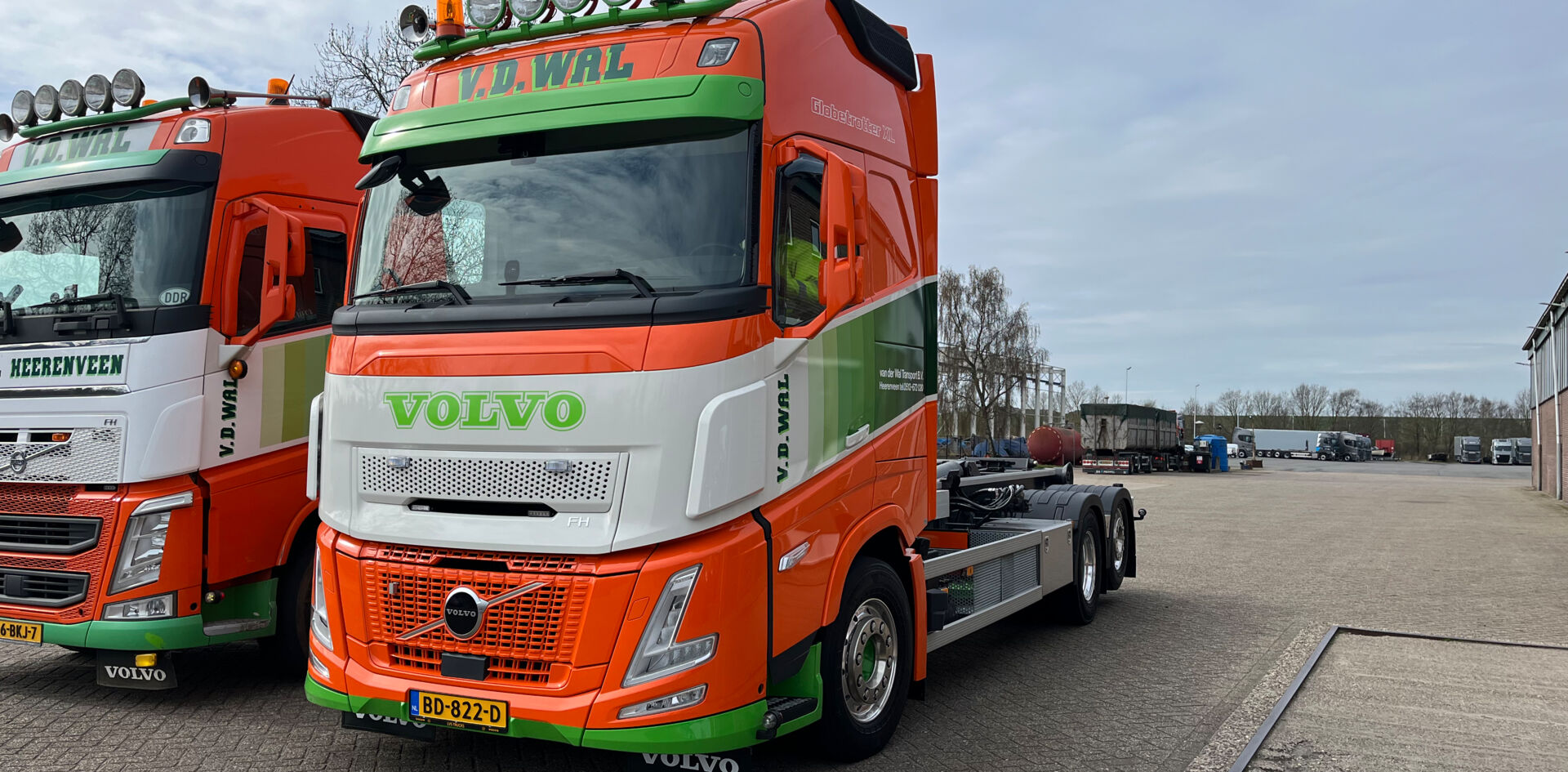 Aflevering van der wal