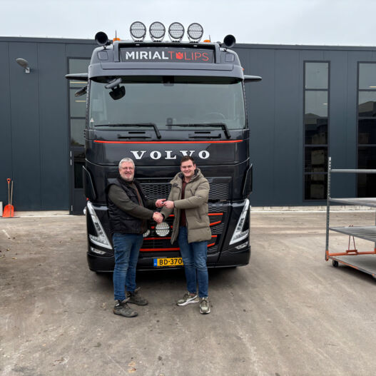 tempdTNTIy Aflevering Mirial Tulips